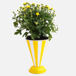 Messbecher als Blumentopf (Upcycling)